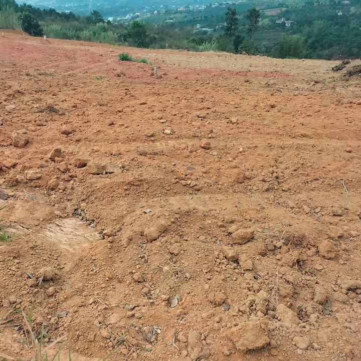 Đất Farm 2ha tại Nam Ban, Lâm Hà - Thỏa thuận giá hấp dẫn!