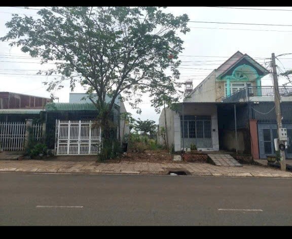 Đất nền TĐC đường Bùi Thị Xuân, Đồng Xoài 120m² giá 1.6 tỷ - Đầu tư sinh lời ngay!