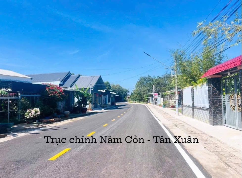 Nhà phố mặt tiền Đường Năm Cơn, Tân Phú, 336m² giá 1 tỷ - Tiềm năng kinh doanh tuyệt vời!
