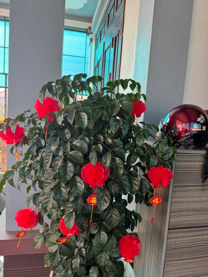 Đất nền Xuân Viên, Nghi Xuân 124m² giá 1,2 tỷ - Cơ hội đầu tư hiếm có!