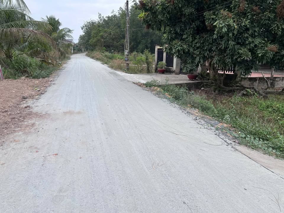 Đất nền Ấp Phước An, Gò Dầu 960m² giá 110 triệu - Cơ hội đầu tư sinh lời!