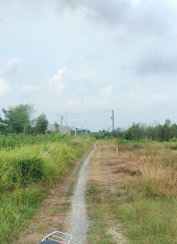 Đất nền Phường Long Hoa, Thị xã Hòa Thành, 115m² giá chỉ 265 triệu - Cơ hội đầu tư không thể bỏ lỡ!