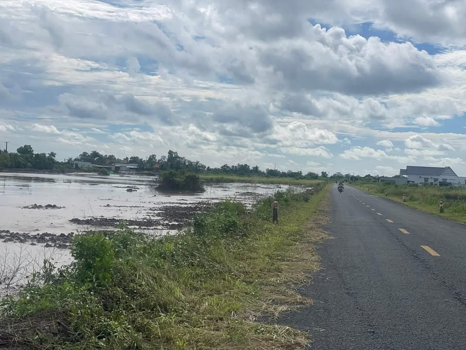 Đất nền tại Xã Tân Thuận, Huyện Đầm Dơi, 630m² chỉ 415 triệu - Sổ hồng riêng sẵn!