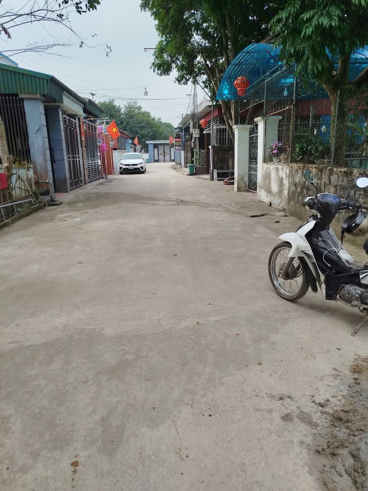 Đất thổ cư 150m² tại Thị trấn Sao Vàng - Giá ưu đãi cho mùa Tết!