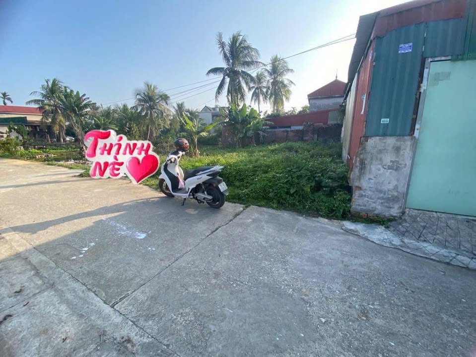 Đất nền đẹp tại xã Đồng Minh, huyện Vĩnh Bảo, 140m² - Giá siêu hấp dẫn!