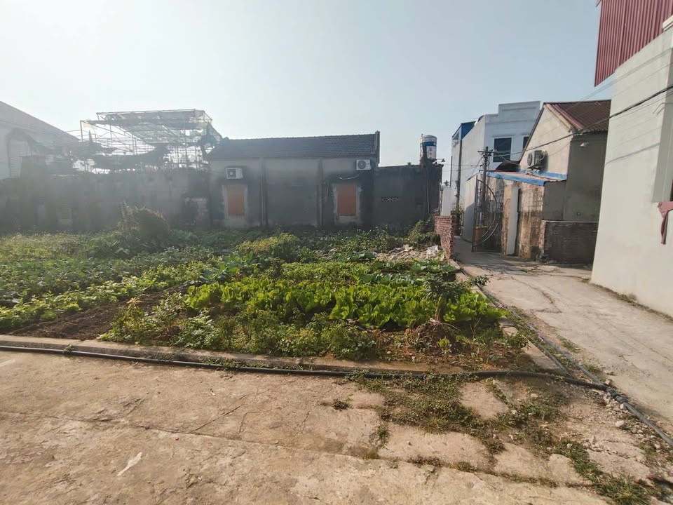 Đất nền Phường Hoa Động, Thủy Nguyên 62m² giá 1.1 tỷ - Sổ hồng chính chủ!