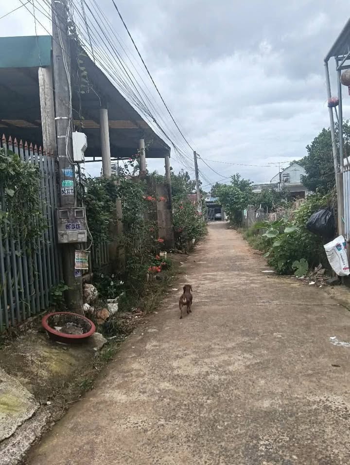 Nhà Hẻm 1092 Lộc Châu, Bảo Lộc 182m², Giá 1.25 tỷ - Sẵn Sàng Nhận Nhà Ngay!