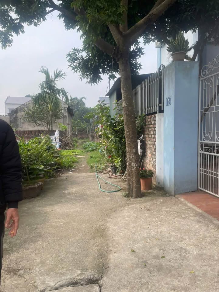 Đất nền Phú Mỹ - 150m² chỉ 1x triệu/m² - Cơ hội đầu tư hấp dẫn!