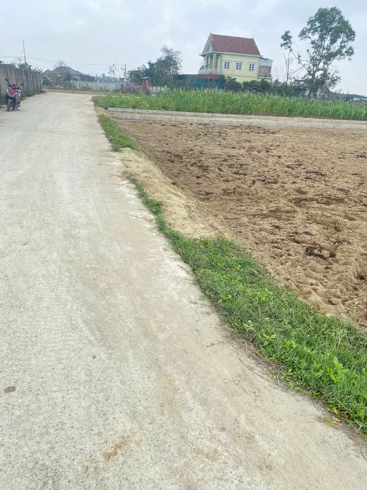 Đất nền Xã Nghi Liên 94m² giá 1.2 tỷ - Cơ hội đầu tư tuyệt vời!