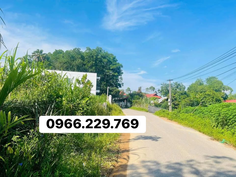 Đất mặt đường Ngô Xá, 355m² giá 900 triệu - Cơ hội đầu tư tuyệt vời!