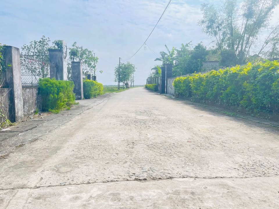 Đất thổ cư thôn Liên Giang, xã Mai Phụ, 184m² giá 9xx triệu - Đầu tư sinh lời cao!