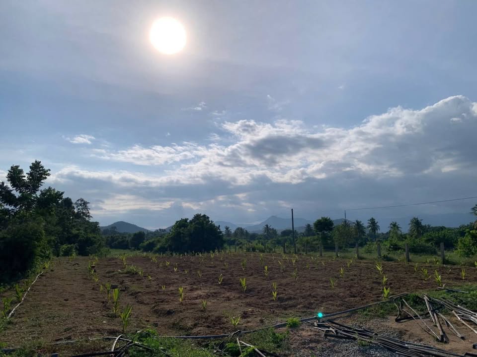 Đất vườn Hòa Sơn 1620m² giá tốt - Mặt tiền 140m, sẵn nhà ở