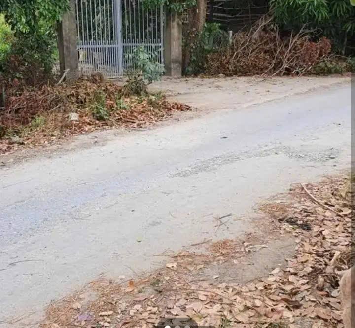 Đất vườn 6069m² tại đường cặp rạch Tà Luộc, An Giang - Giá thỏa thuận hấp dẫn!