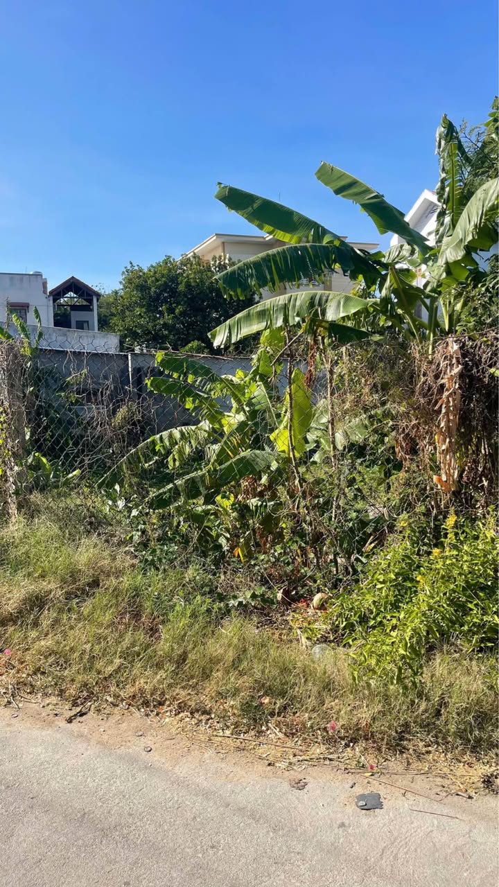 Lô đất 250m² tại đường N9, Phường Cam Phú - Đầu tư sinh lời ngay!