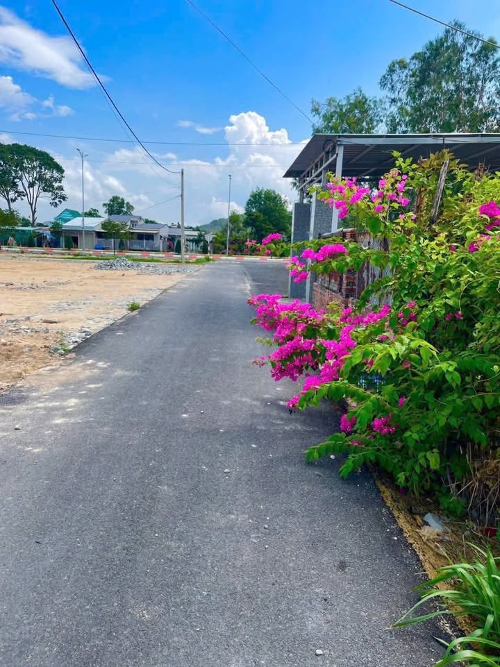 Đất nền đẹp Phường Tân Hải 432m² giá chỉ 2 tỷ - Cơ hội đầu tư hấp dẫn!