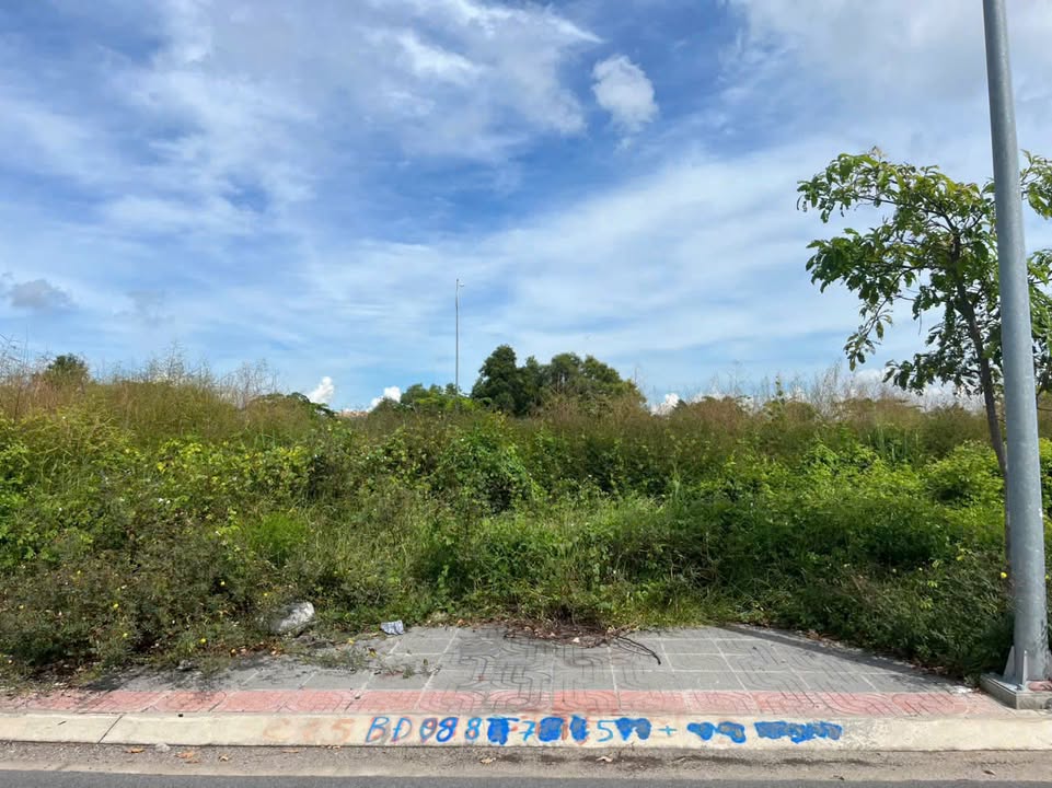 Đất nền TĐC Phường 10, Vũng Tàu - 75,1m² giá 7,5 tỷ - Đường 13m rộng rãi