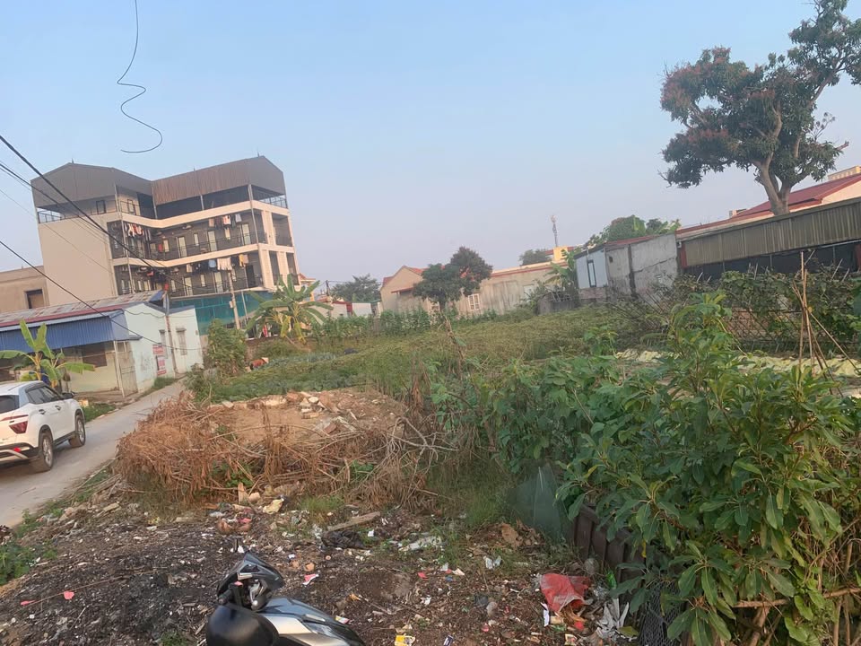 Đất nền Phường Hồng Phong, Quận An Dương, 73m² giá 1.5 tỷ - Đầu tư sinh lời ngay!