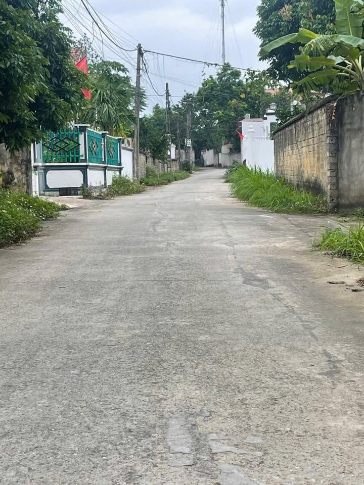 Đất nền TDP Phúc Thắng, Thị trấn Thắng, 212m², đầu tư sinh lời cao!