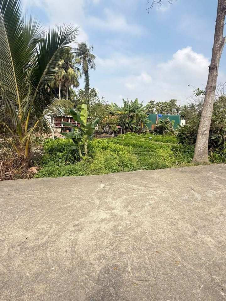 Đất nền Phường Quảng Hưng 100m² giá 1.2 tỷ - Cơ hội đầu tư sinh lời lớn!