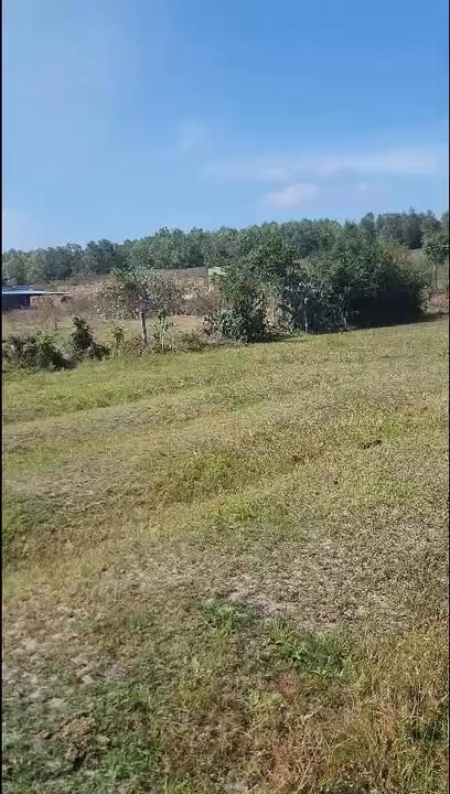 Đất thổ cư thôn 7, xã Hàm Đức, 1980m² giá 1.65 tỷ - Sở hữu ngay!