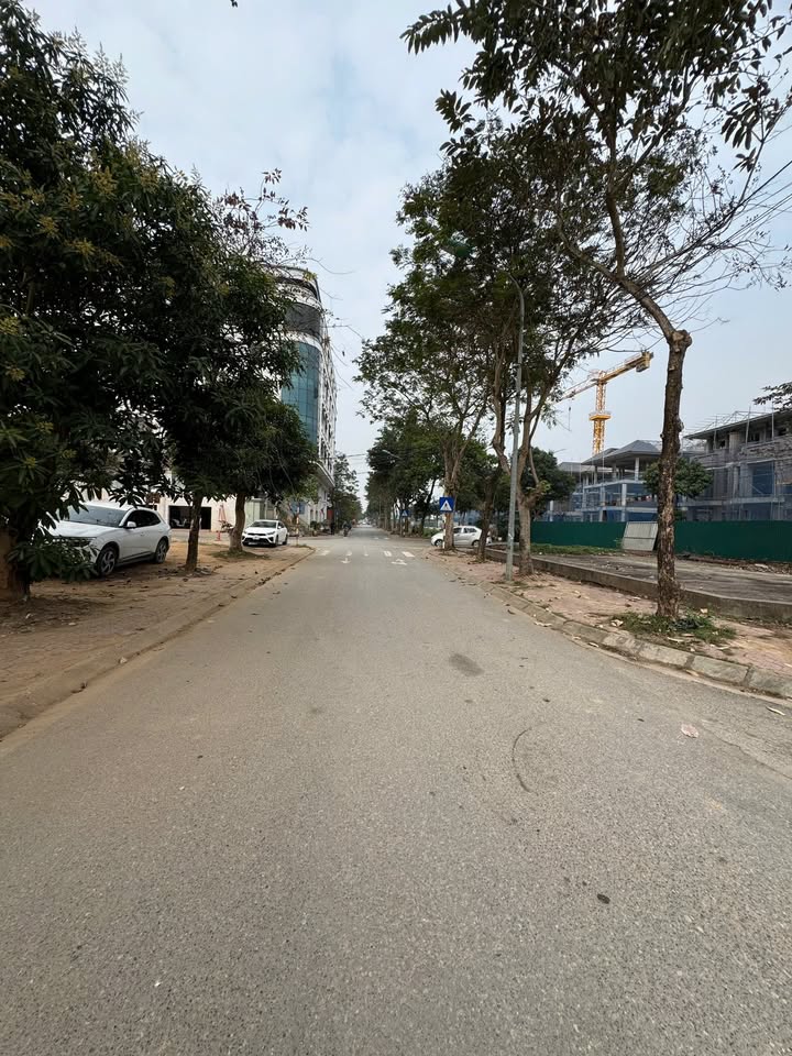 Đất nền Vĩnh Yên 254m² giá 15.24 tỷ - Cơ hội đầu tư hiếm có!