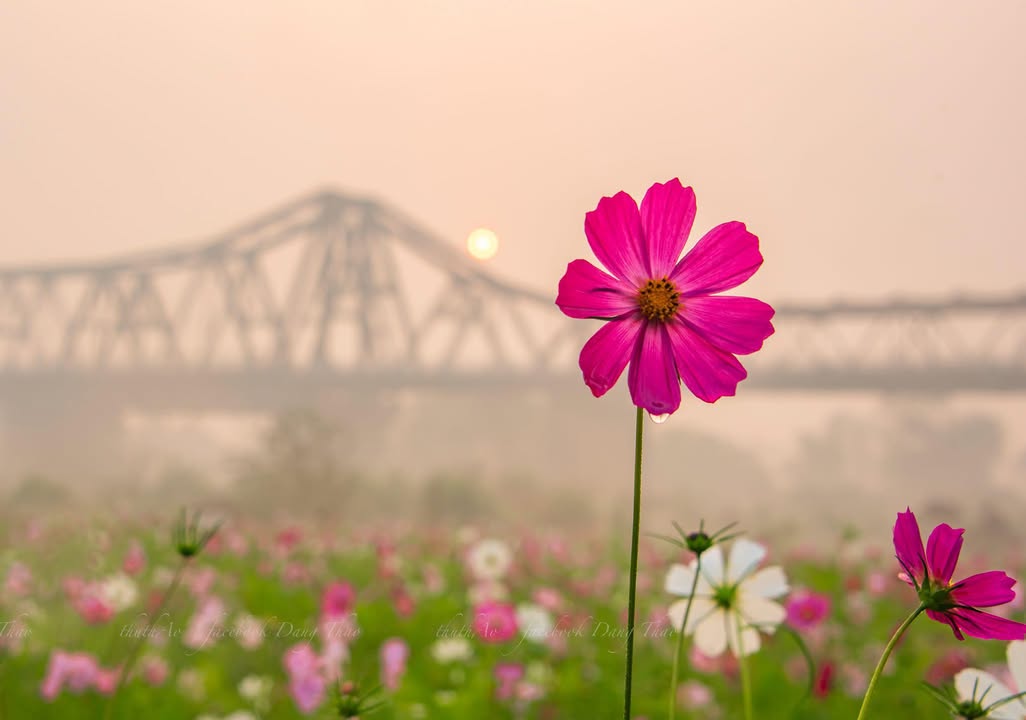 Đất nền TDP Riễu, Bắc Giang 99m² - 3 mặt tiền, giá thỏa thuận hấp dẫn!