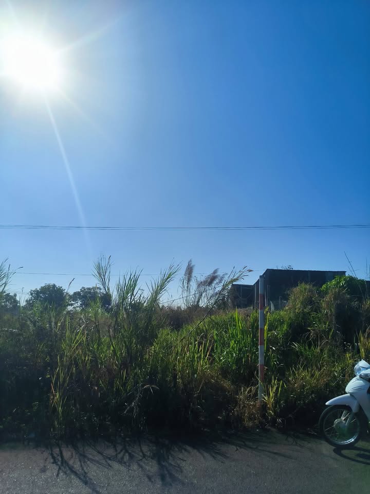 Nhà phố mặt tiền Nguyễn Tri Phương Bảo Lộc 540m² giá 3 tỷ - Cơ hội đầu tư hiếm có!