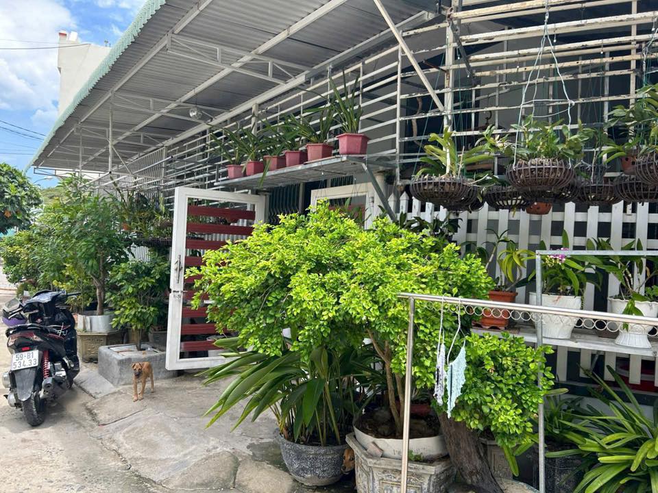 Đất nền Vĩnh Thái Nha Trang 176m² giá 6 tỷ - Đầy đủ tiện ích xung quanh!