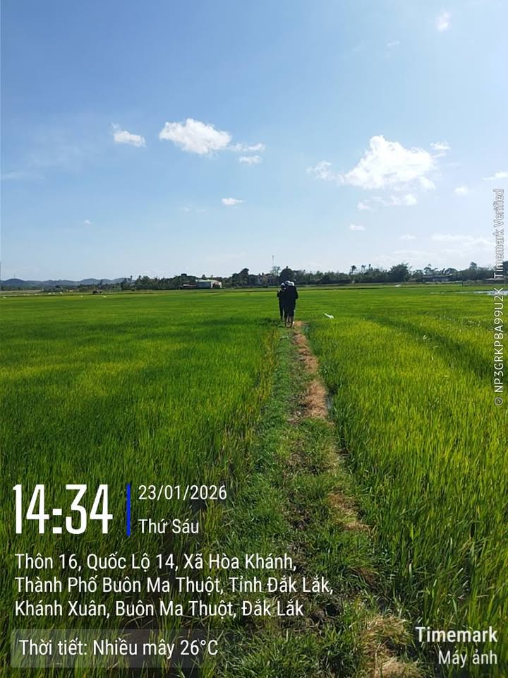 Đất nền Khánh Xuân 972m² giá chỉ 230 triệu - Cơ hội đầu tư tuyệt vời!