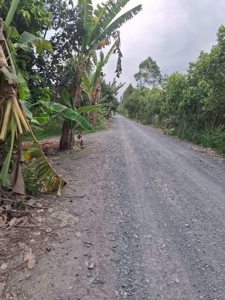 Đất Farm đẹp Xã Thanh Mỹ 38.000m² giá 14.63 tỷ - Đầu tư sinh lời ngay!