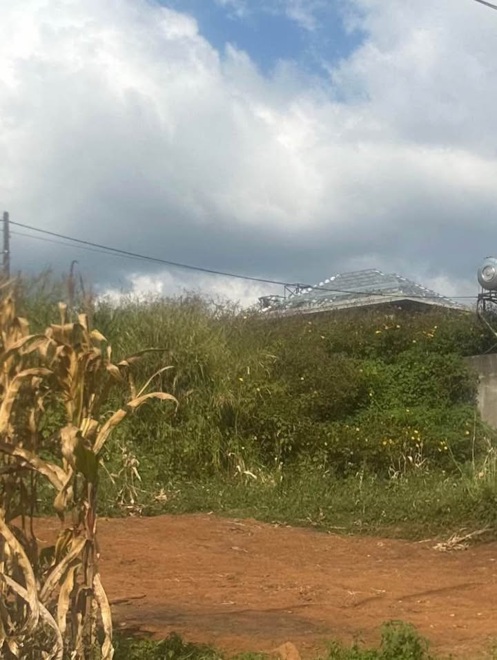 Đất thổ cư 280m² giá 2 tỷ tại Thị Trấn Di Linh - Sổ đỏ chính chủ