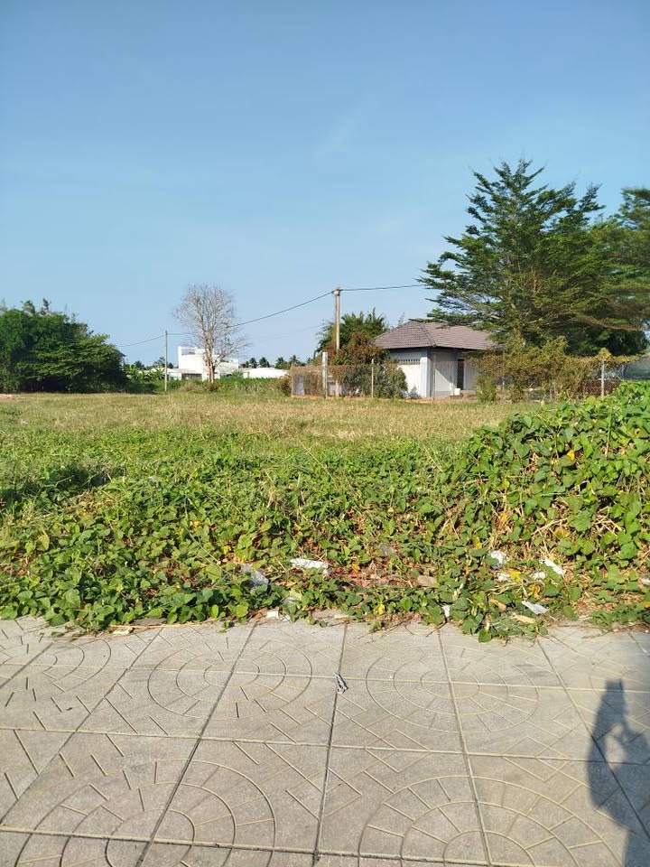 Đất nền 819,8 m² mặt tiền Đường Nguyễn Đáng - Tiềm năng kinh doanh đỉnh cao!