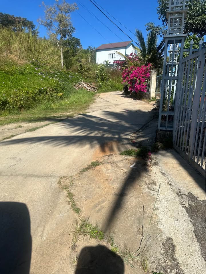 Đất thổ cư 115m² tại Thị trấn Di Linh, giá 500 triệu - Cơ hội đầu tư tốt!