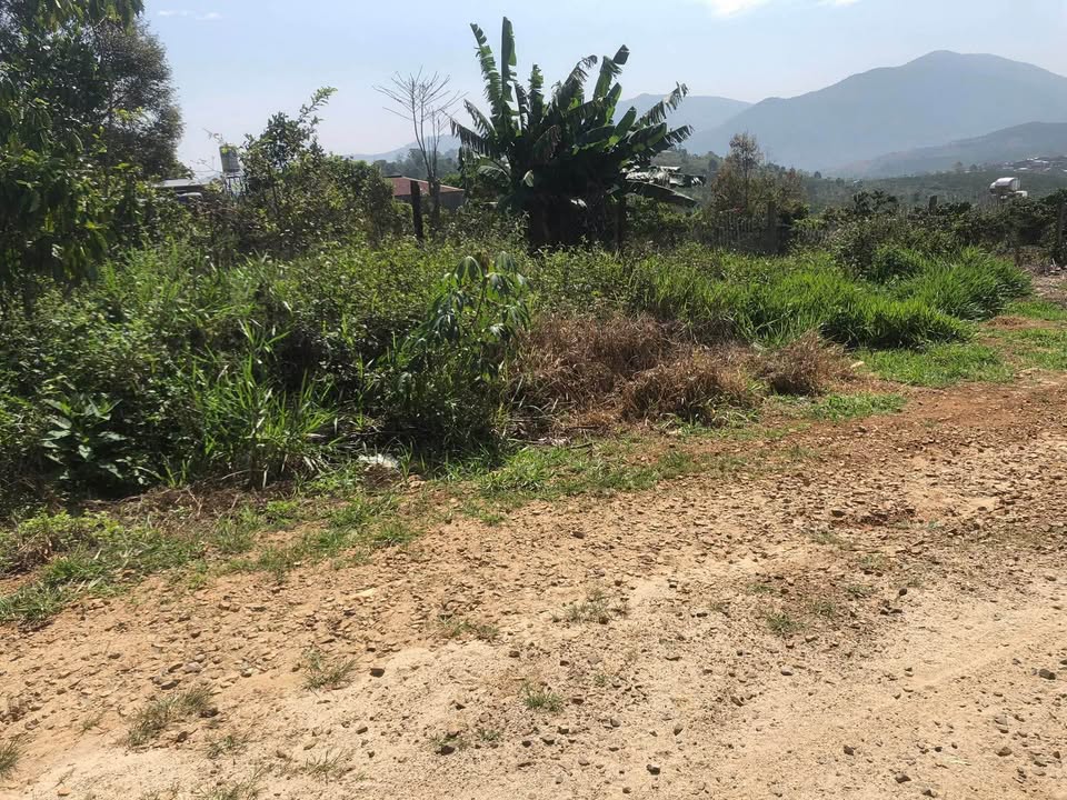 Đất thổ cư 800m² thị trấn Di Linh giá 1.05 tỷ - Đầu tư sinh lời ngay!