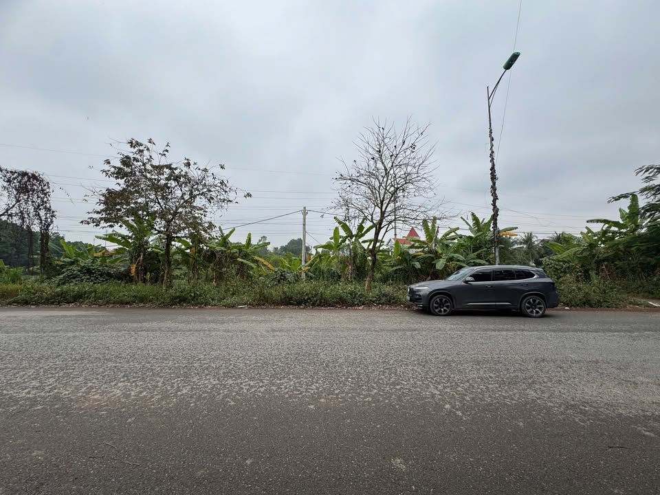 Đất thổ cư 1000m² Thị Trấn Lập Thạch giá 6 tỷ - Cơ hội đầu tư hấp dẫn!