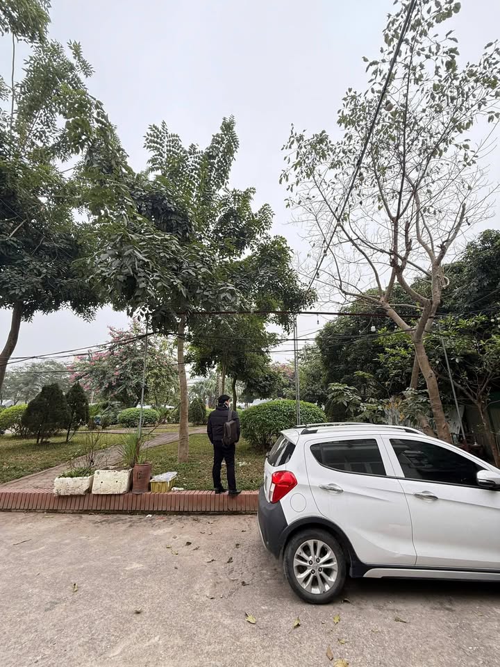 Đất Nguyễn Bặc, Ngọc Hồi, Thanh Trì 66m² - Ô tô đỗ cổng, cơ hội hiếm có!