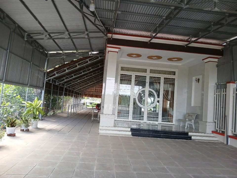 Nhà mặt tiền Đường Trường Hòa, Hòa Thành, Tây Ninh 657m² - Kinh doanh sầm uất!