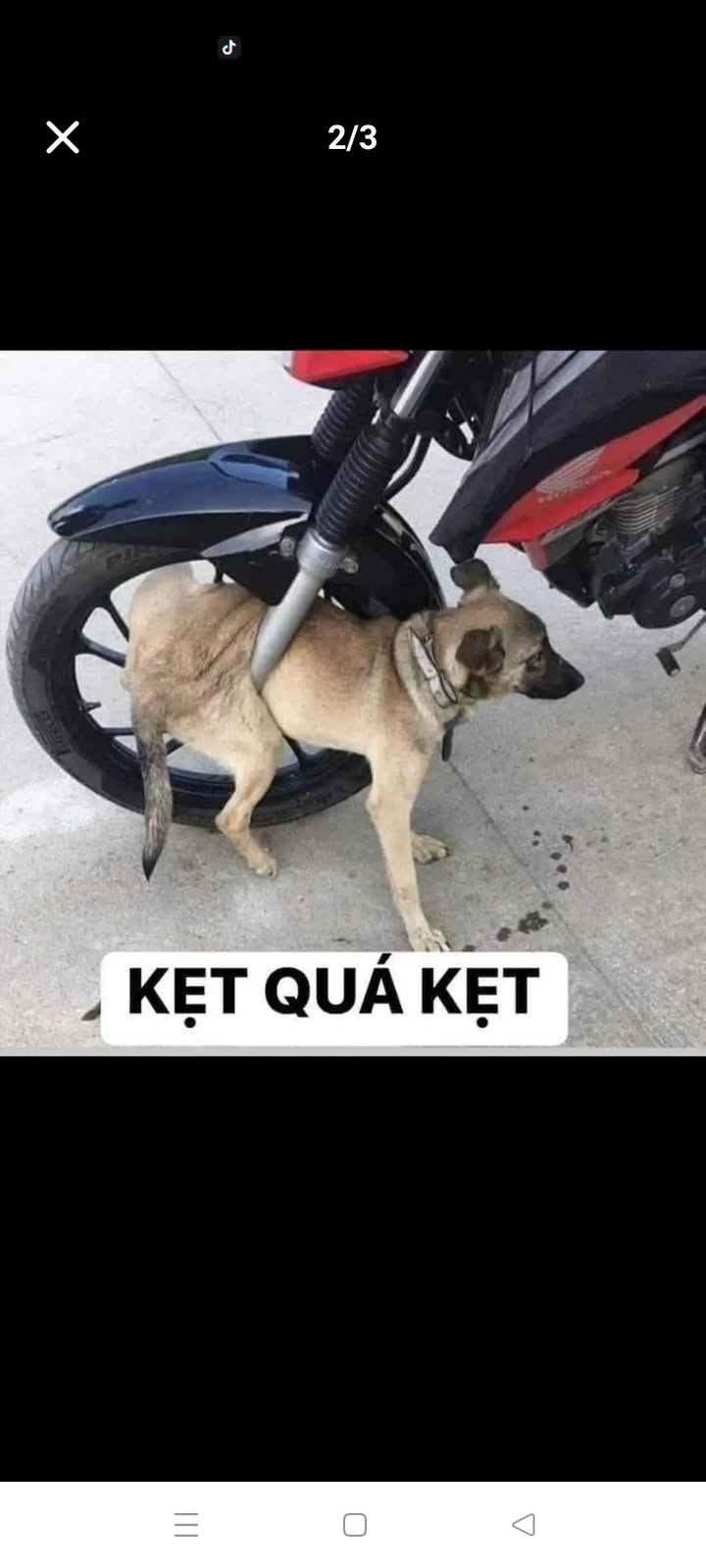 Đất ở xã Gio Quang, huyện Gio Linh 276m² giá 320 triệu - Cơ hội đầu tư hấp dẫn!