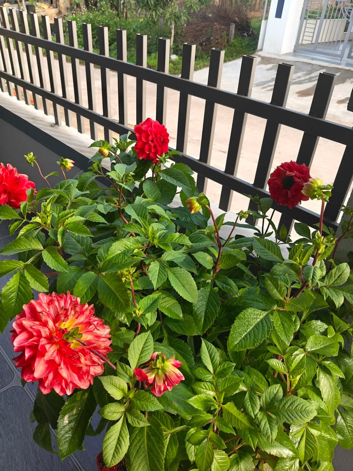 Đất nền thôn Quyết Tiến, xã Thạch Xuân 200m² giá thỏa thuận - Cơ hội đầu tư hấp dẫn!