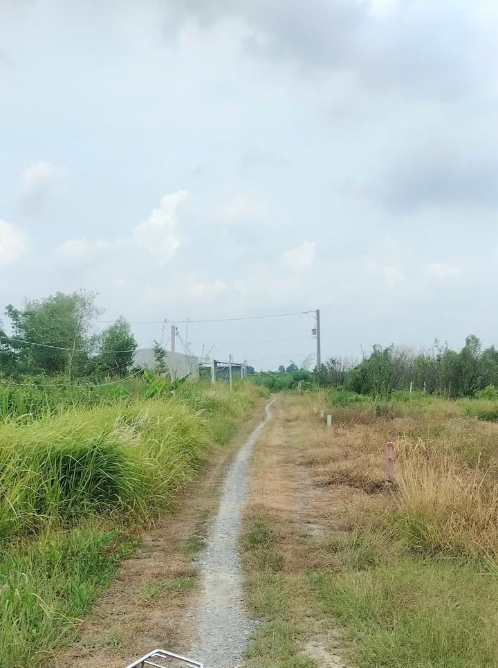 Đất thổ cư Phường Long Hoa 115m² giá 265 triệu - Cơ hội đầu tư tốt!