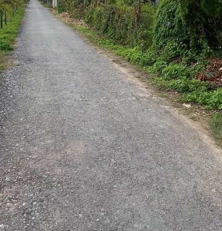 Đất nền xã Bắc Đông Quan, Đông Hưng 950m² - Sổ đỏ chính chủ, giá tốt cho đầu tư!