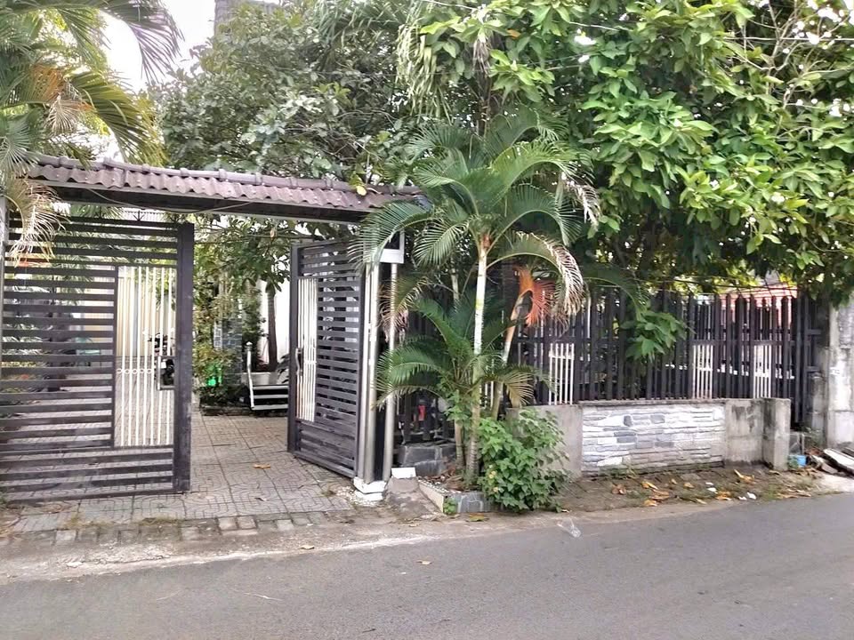 Nhà vườn Long Hải 250m² giá 4.2 tỷ - Không gian sống xanh lý tưởng!