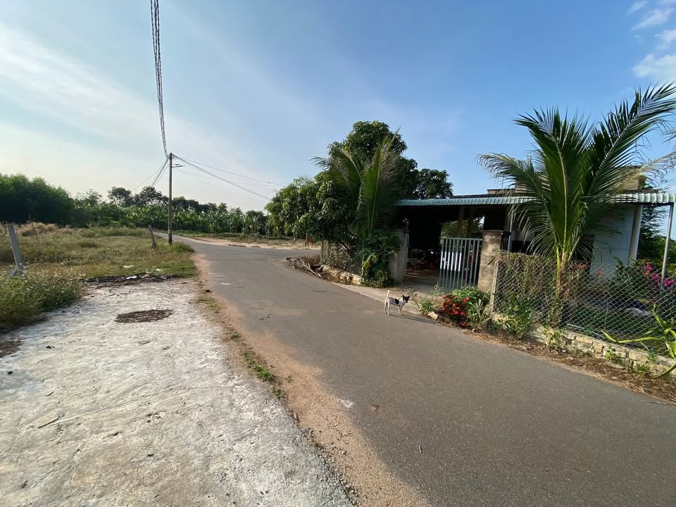 Đất nền Suối Nghệ 200m² giá chỉ 600 triệu - Đầu tư sinh lời ngay!