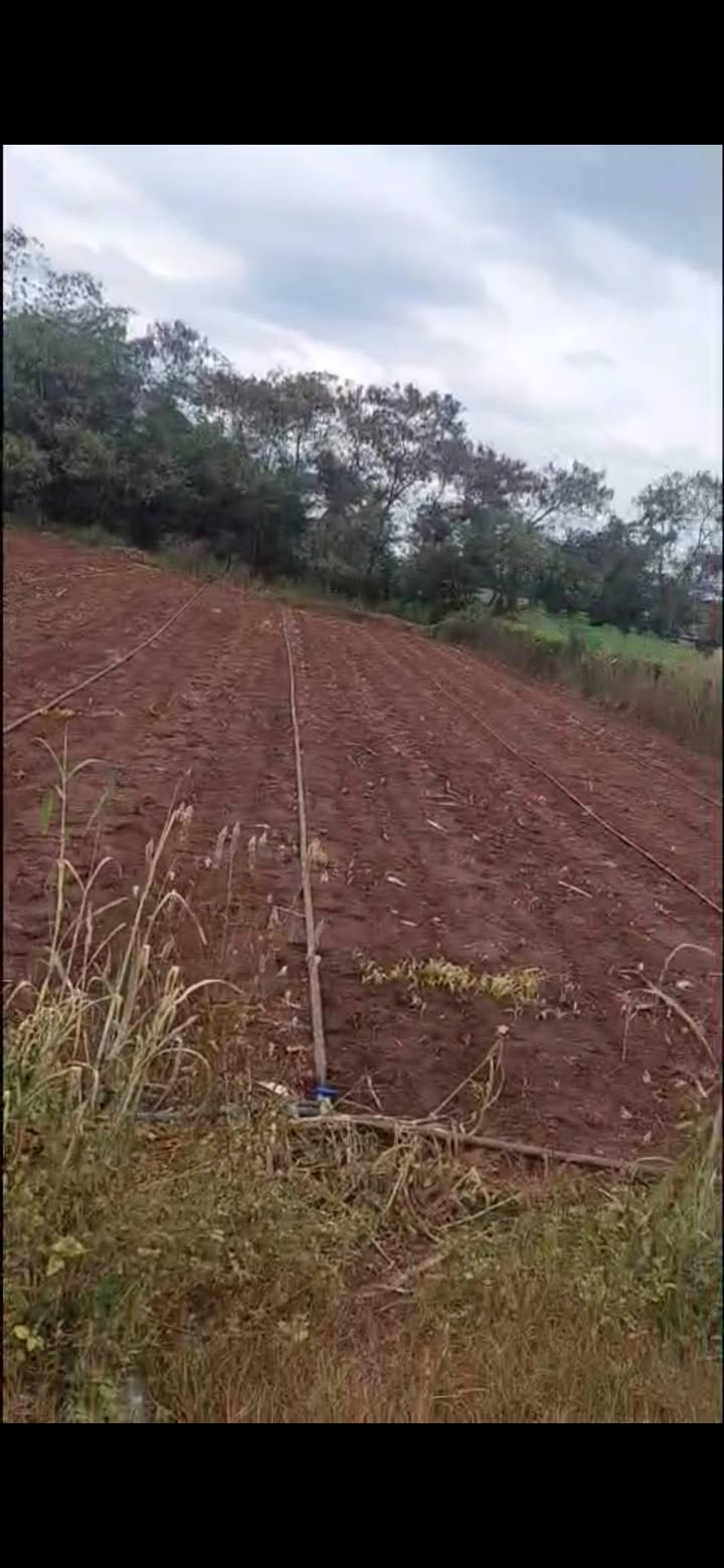 Đất nền Nghĩa Thành, Châu Đức 450m² giá thỏa thuận - Tiềm năng kinh doanh nhà trọ!