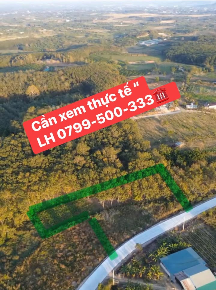 Đất nền Cư Knia, Huyện Cư Jút, 1800m² giá 39.6 tỷ - Đầu tư sinh lời hấp dẫn!