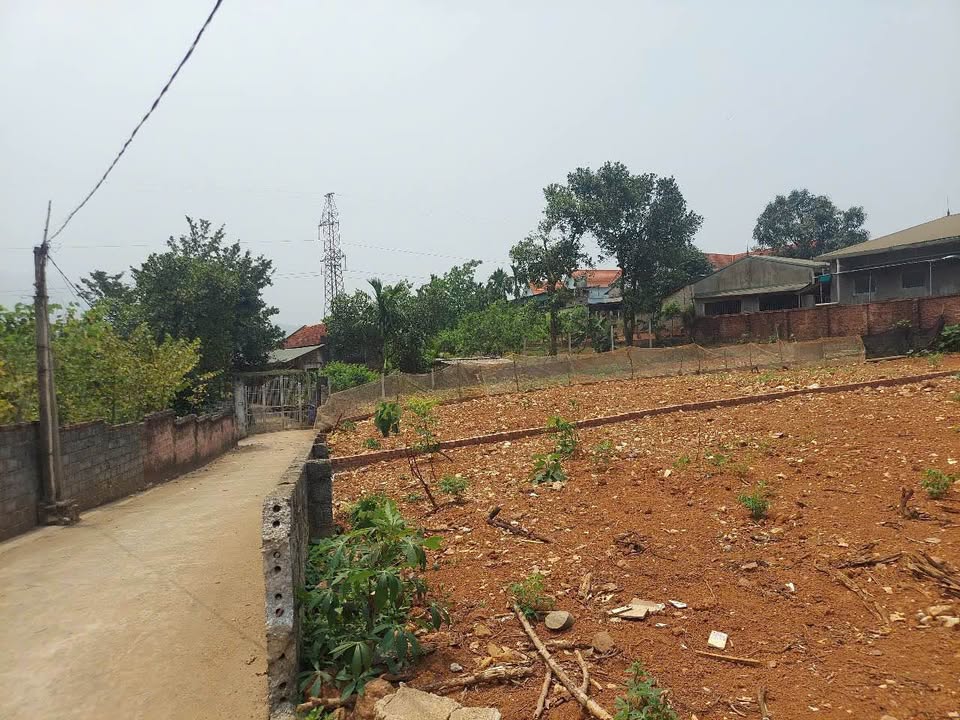 Đất ở Xã Ba Trại, Huyện Ba Vì 300m² giá 2 tỷ - View núi tuyệt đẹp!