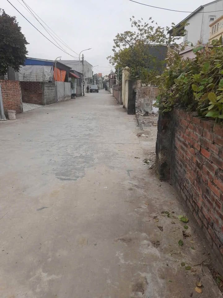 Đất nền An Khánh Hải Phòng 800m² giá 8 tỷ - Cơ hội đầu tư tuyệt vời!