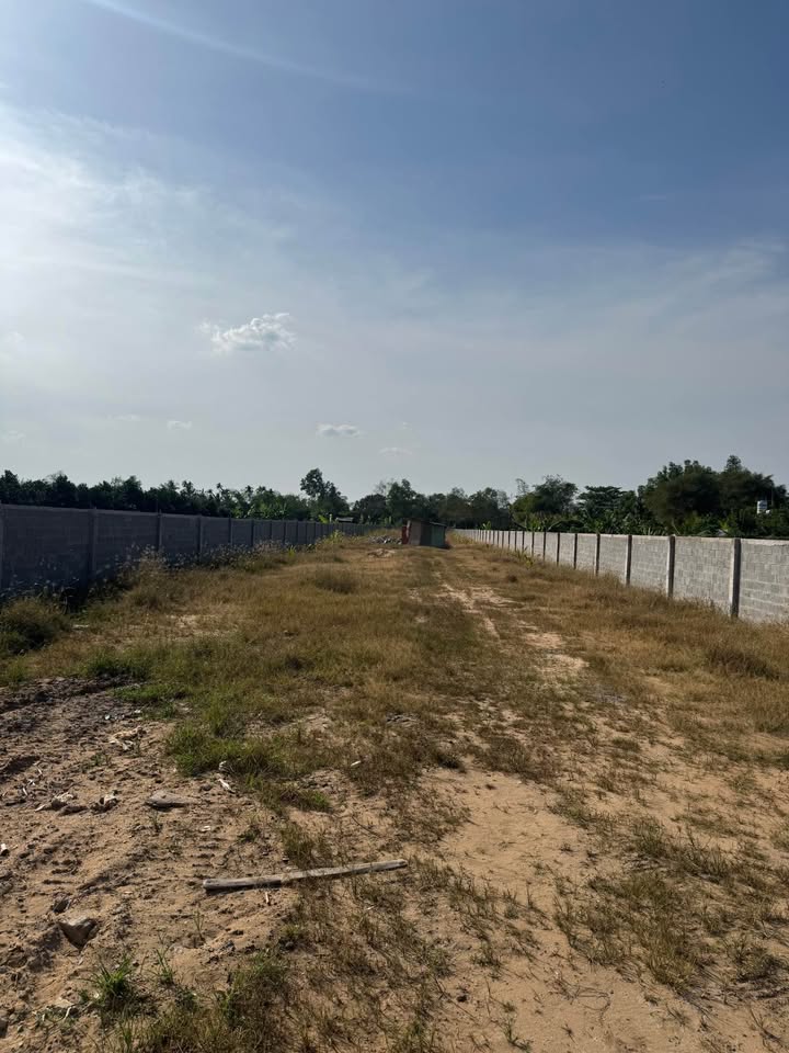 Đất nền 1700m² tại xã Tân Thạnh, huyện Thới Lai - Giá tốt, thuận tiện làm kho bãi!