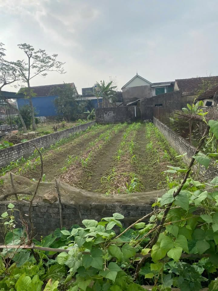 Đất nền Xóm 6, Diễn Cát, 175.7m² giá 1 tỷ - Cơ hội đầu tư không thể bỏ lỡ!