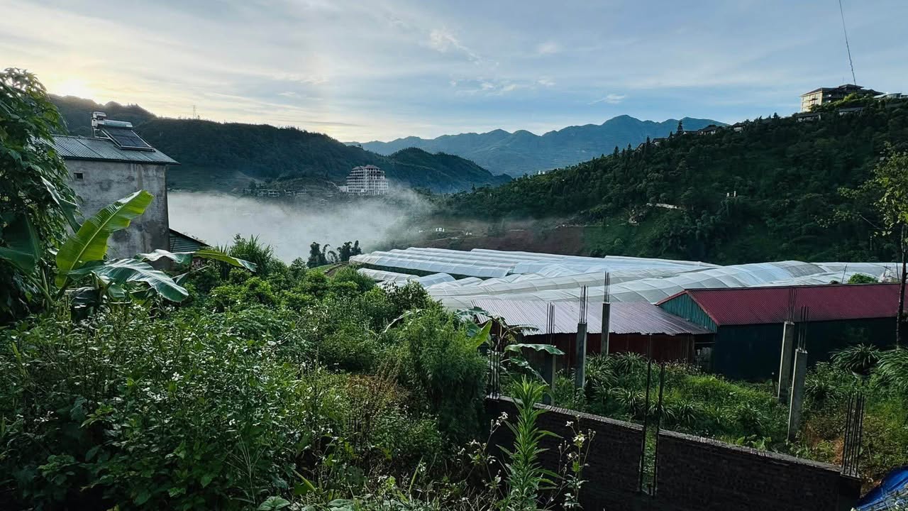 Đất nền Tả Phìn, Sa Pa 120m² - Sổ đỏ chính chủ, giá tốt thỏa thuận!